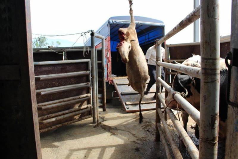 Third followup inspection of Kuruçay Slaughterhouse in Bolu Halal