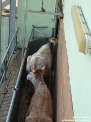 13.12.2013_TR_Bursa_revisit (10)-small