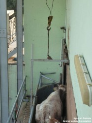 13.12.2013_TR_Bursa_revisit (11)-small