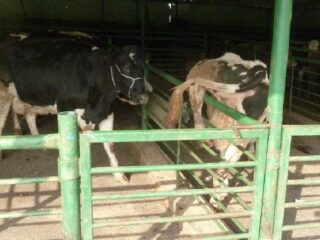 13.12.2013_TR_Bursa_revisit