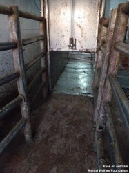 18.12.2013_TR_Kazan_Aygüluer (28)_small