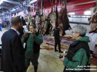 Dr. Eser at Tuzla Elif