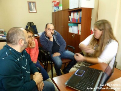 Tuzla advice to Elif