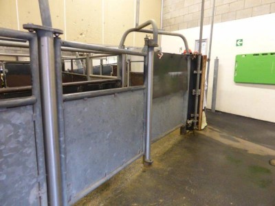 Raceway Apeldorn VanDrie