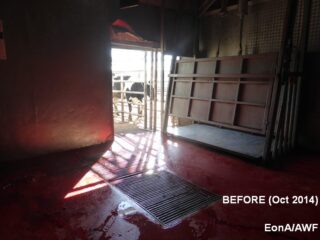 Sincan Ankara Baskkent