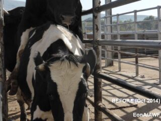 Sincan Ankara Baskkent