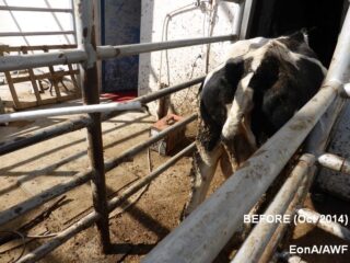 Sincan Ankara Baskkent