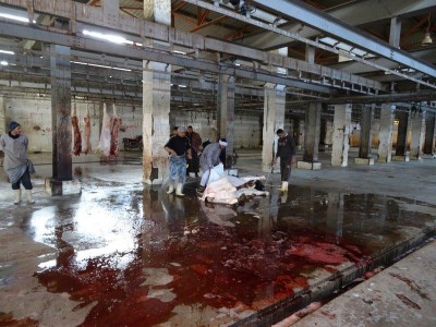 Slaughter of the animals