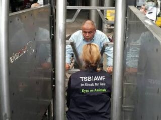 Upright restraint-box at Helmaks